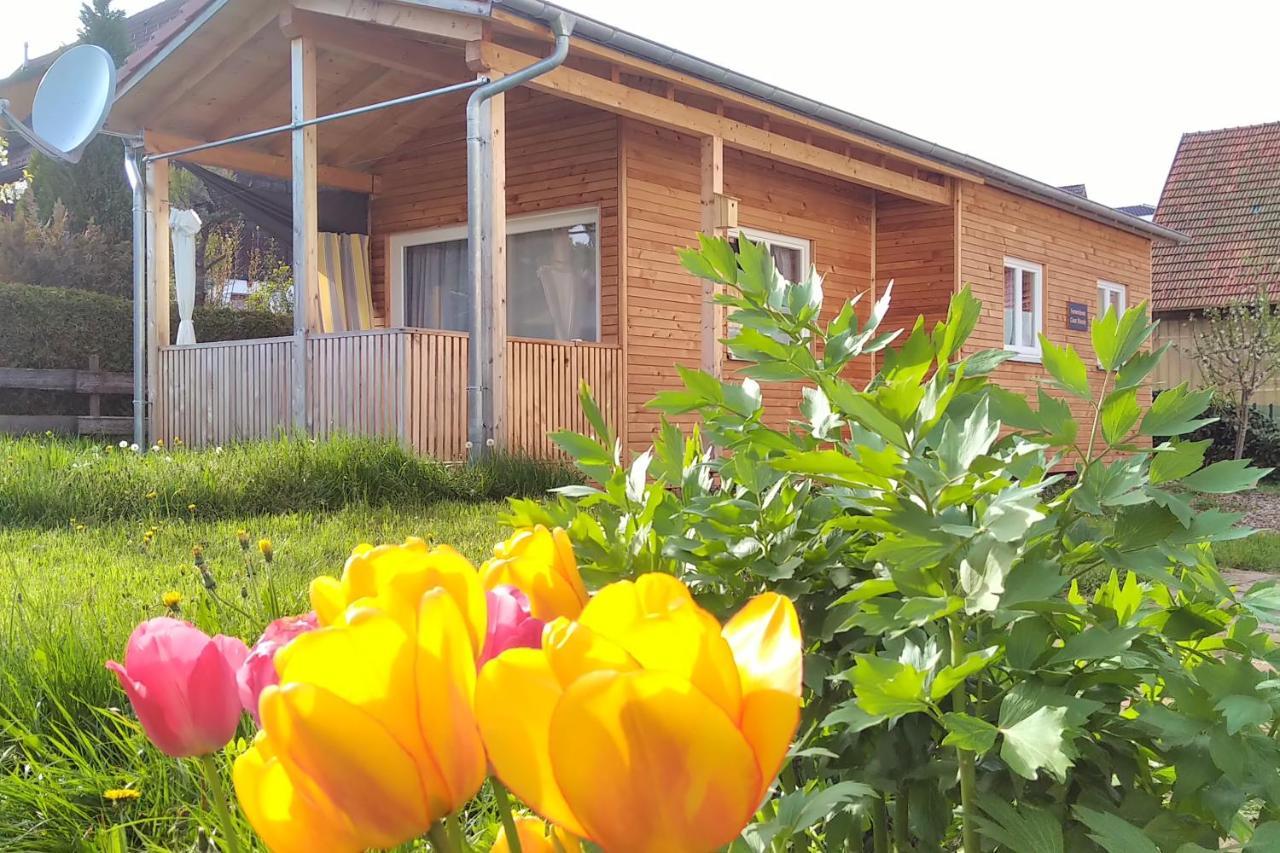 Tiny-Ferienhaeusle Casa Wendy Villa Loßburg Eksteriør bilde